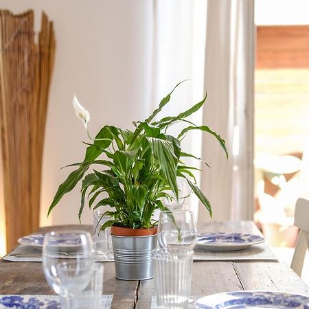Spacious Apartment With Big Terrace At Colosseum Rom Exterior foto